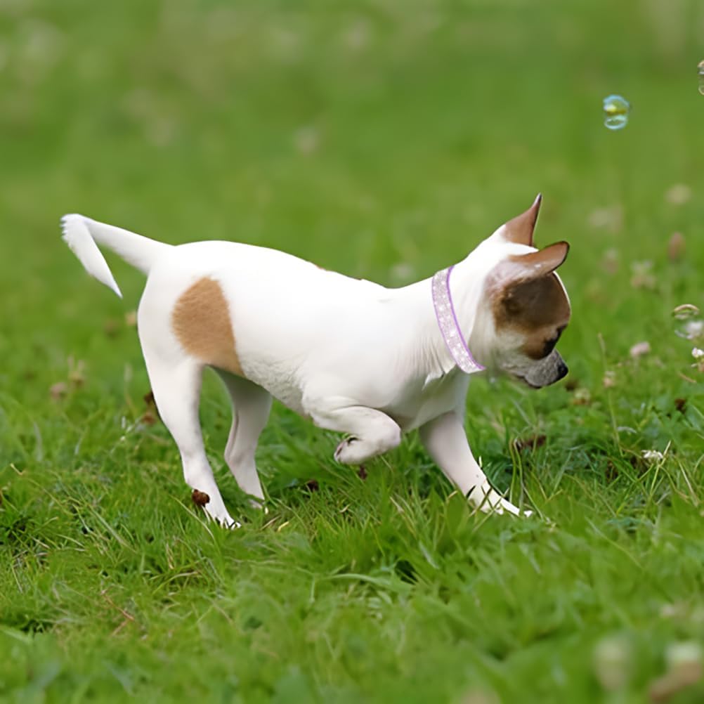 Rhinestone Dog Collar for Small Dogs, Bling Diamond Fancy Crystal Glitter Pretty Jewel Pet Puppy Collars for XXS XS Small Medium Large Breed Girl Dogs Female Cats Kitten, Hot Pink L