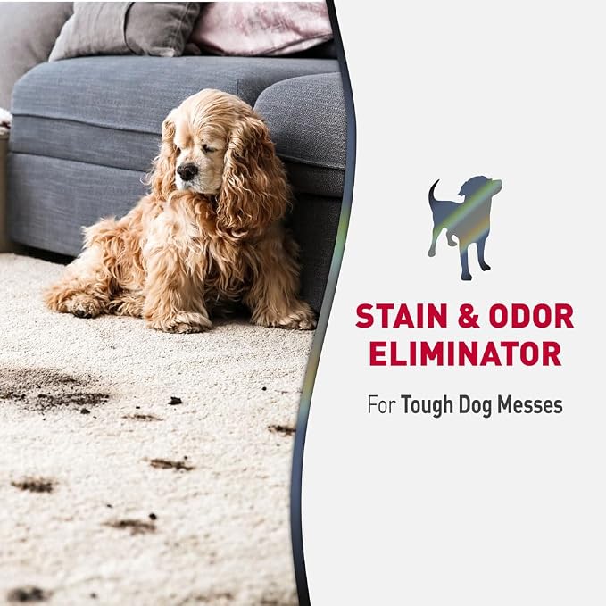 Nature's Miracle Advanced 128oz Dog Stain & Odor Remover and Set-In Stain Destroyer Bundle