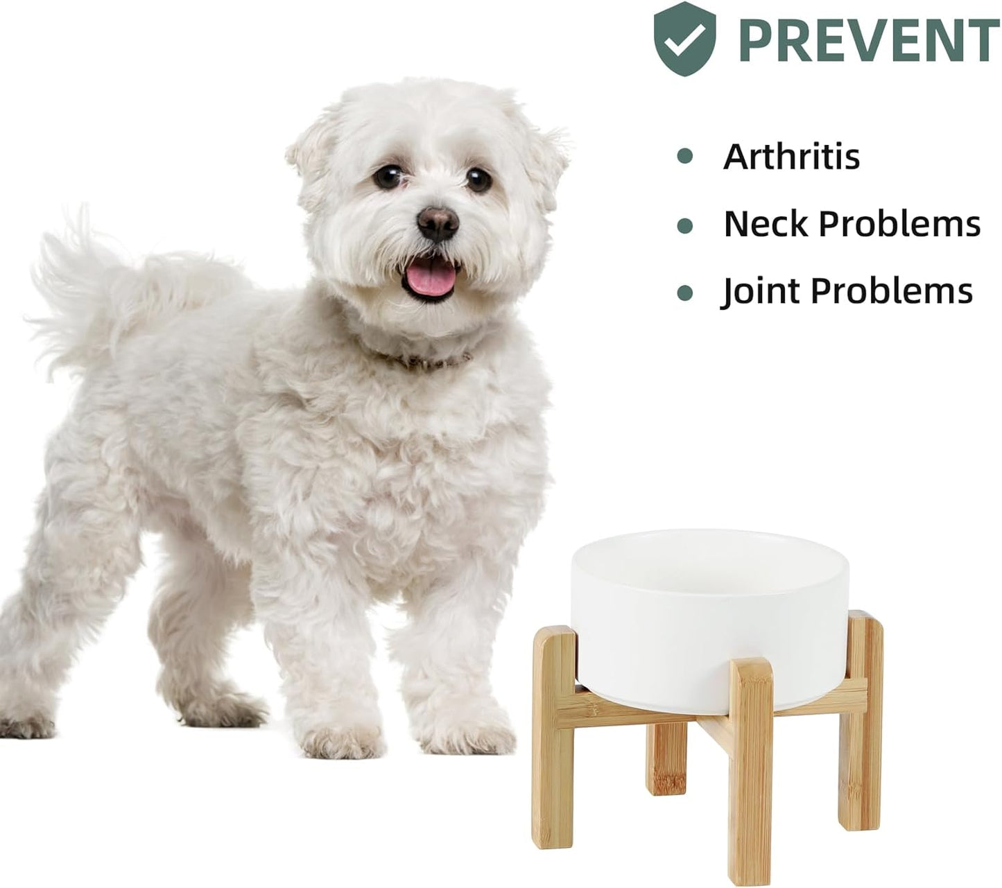 Ceramic Raised Dog and Cat Bowl Set, 2 Heights Elevated Stand, Food and Water Bowl for Small Breed Dogs, Weighted Dog Dishes, Pet Bowl(6.1'',28.7oz, White)