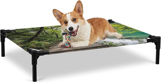Outdoor Elevated Dog Bed for Large Dogs, Nature Scenery Breathable Cooling Raised Dog Cot for Indoor/Outdoor, Forest Walkway Lake Trees Spring View Waterproof Elevated Pet Beds, L 28 x 22 in