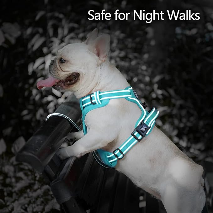 PoyPet No Pull Dog Harness, Reflective Vest with 2 Leash Clips & Handle | Lockable Neck Release Buckle, No Choke, Adjustable, Soft Padded, for Walking Training, Mint Blue Matching Trim, X-Large
