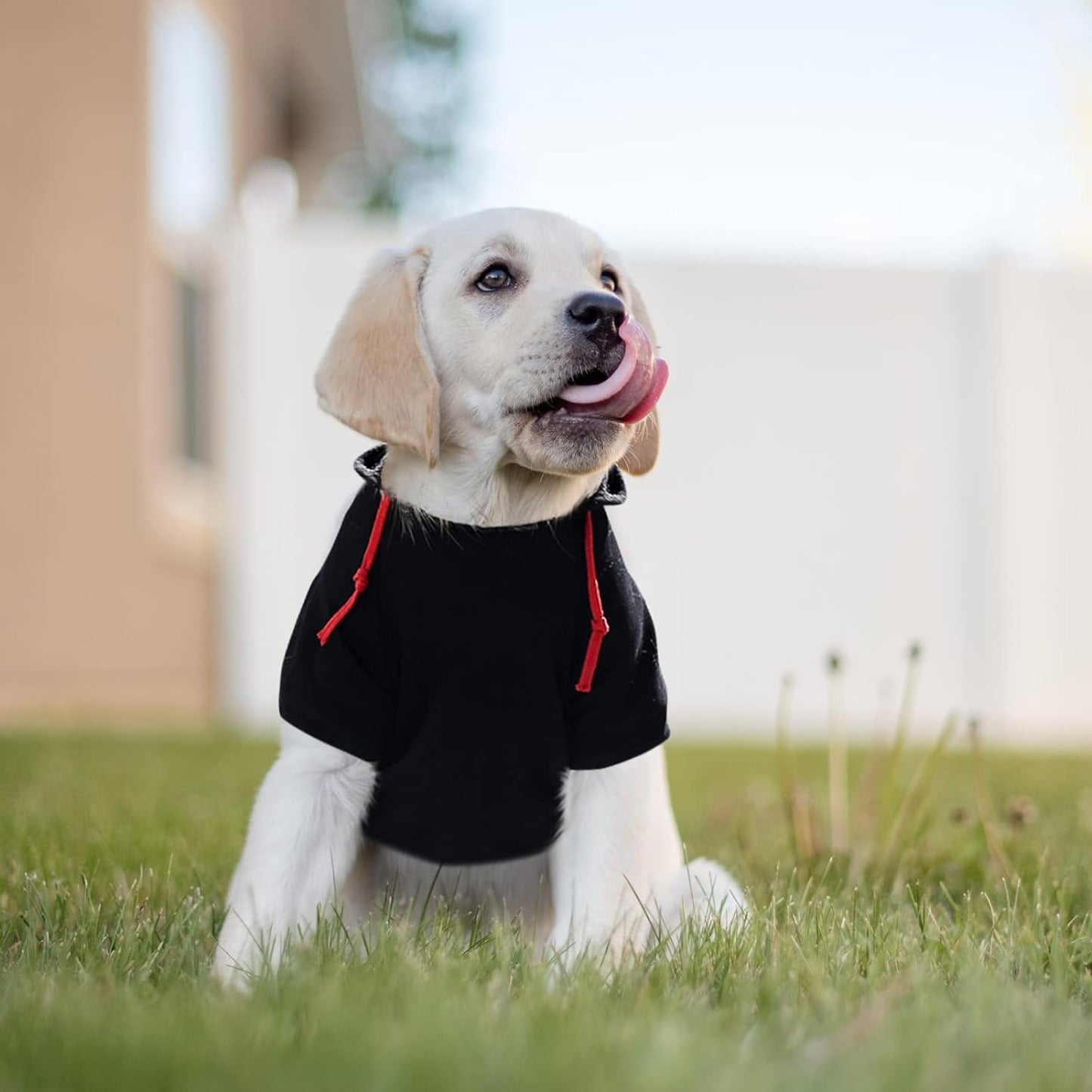 SAWMONG Dog Hoodie,Flannel Pet Hooded Sweater with Hat Puppy Pullover Sweater Shirt,Dog (Black,3XL)