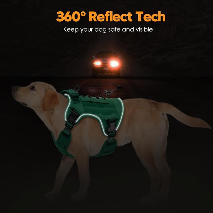 Heavy-Duty Tactical Dog Harness for Large Dogs, No Pull Adjustable Reflective Pet Vest with Molle System, K9 Military-Grade Control for Service Training, Outdoor & 10+ Breeds, Turquoise, XX-Large