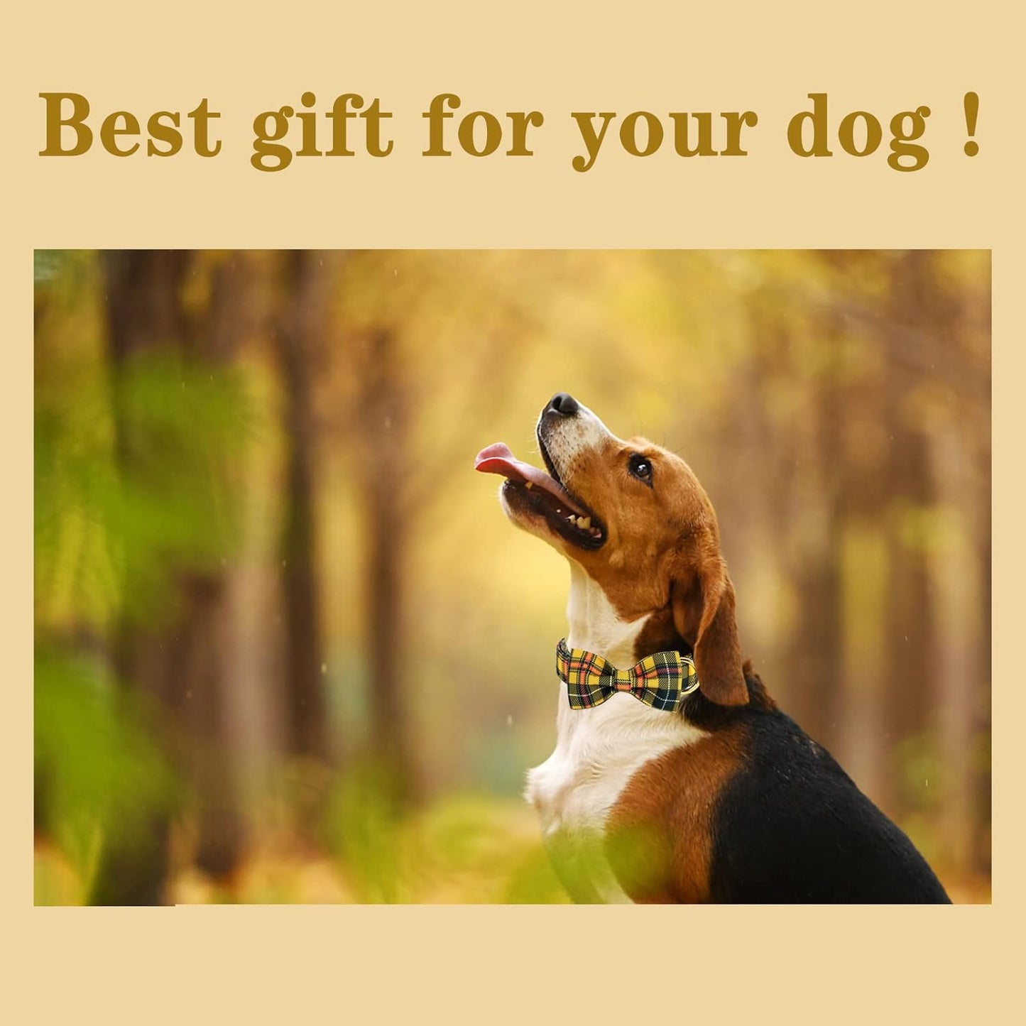 Unique style paws Bowtie Dog Collar Cotton Plaid Collar Adjustable Puppy Collar for Small Medium Large Dogs-S