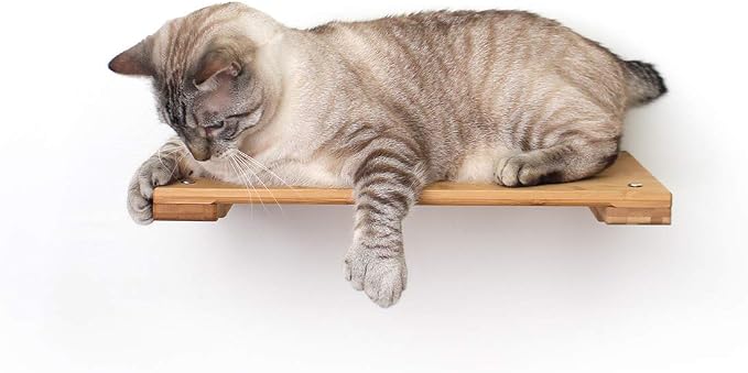 CatastrophiCreations Cat 18" Shelf Handcrafted Elevated Wall, Natural Bamboo, one Size