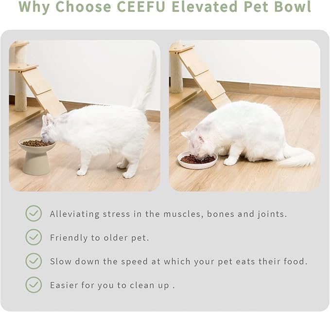 CEEFU Extra Wide Elevated Ceramic Cat Bowl, 6.2" Shallow Dish for Whisker Fatigue Relief, 5" Height for Easy Feeding, Durable Raised 2 Cat Food Bowls, Pottery Clay (Not Glazed)