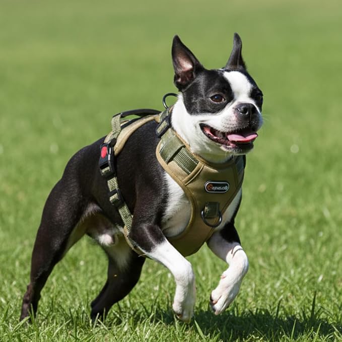 Tactical Dog Harness No Pull Adjustable Pet Vest Collars with Reflective Straps and Handle, Puppy Harnesses with Dual Metal Clips for Leash, Durable Chest Collar for Small and Medium Dogs