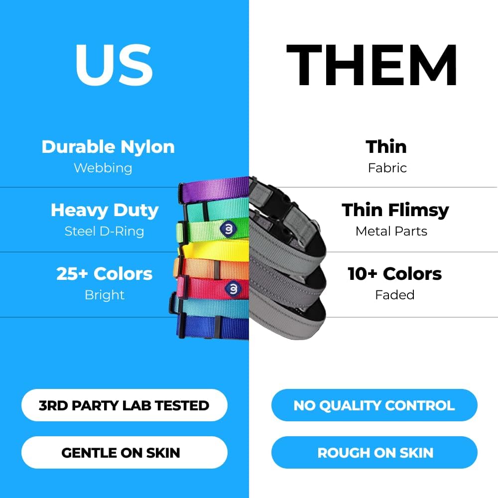 Blueberry Pet X-Small Dog Collar | Girl Dog Collars | Female Dog Collar XS | Quick Release Dog Collar | Florence Orange Nylon Dog Collar for Girl, Collar for Small Dogs