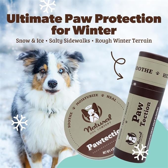 Natural Dog Company PawTection Balm for Dogs – Winter Paw Protection from Snow, Ice & Salt, Wax-Based Paw Barrier Balm, All Breeds for Cold Weather Walks & Outdoor Adventures, Lick-Safe, 0.15 oz Stick