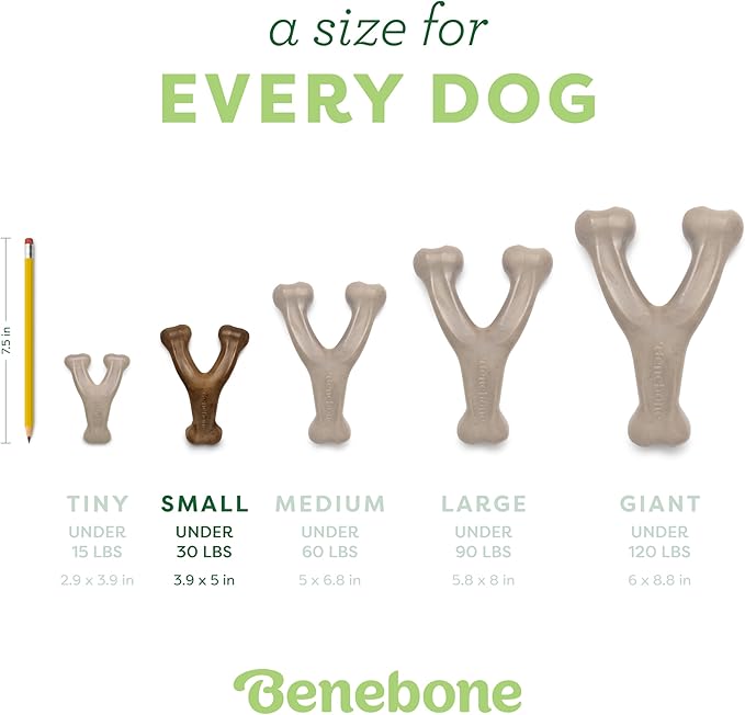 Small 3-Pack, Benebone Wishbone Durable Dog Chew Toy for Aggressive Chewers, Real Bacon, Chicken, Peanut Butter, Made in USA, Variety Pack