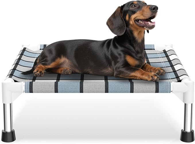 Caghash Elevated Outdoor Raised Dog Bed, Lifted Dog Cot for Small Pet | Breathable Fabric Dog bed for Indoor & Outdoor, Stainless Steel, Anti-Slip Pet Bed