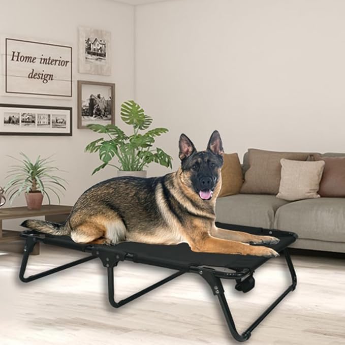 Elevated Raised Small Meduim Dog Bed Cots Cooling Foldable | No Assembly Need Pet Hammock Bed with Breathable Mesh, Indoor Outdoor Dog Pet Bed for Small Meduim Dogs, Chew Proof, Black