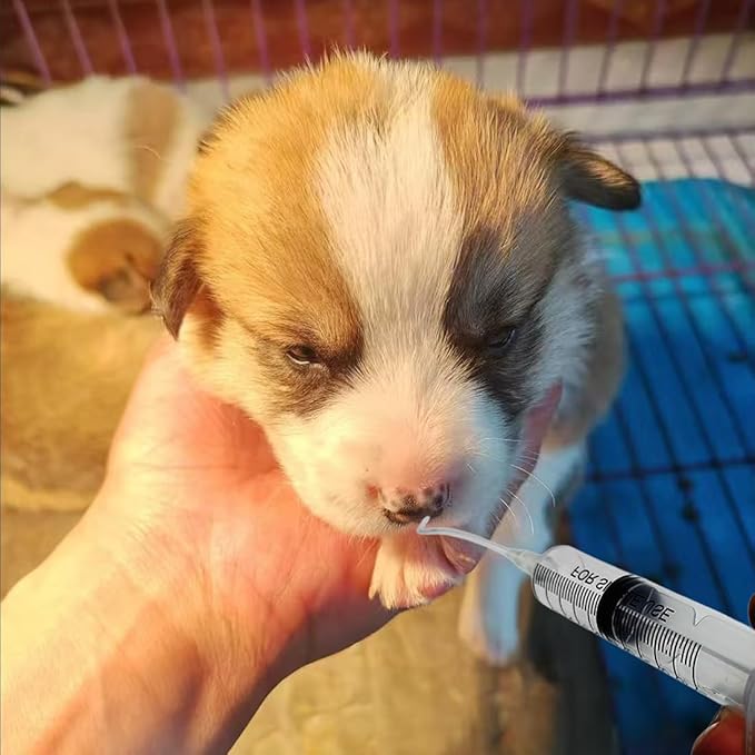 Yiqianhome 11pcs Puppy Kitten Feeding Tube Kit for Small Animals and Clear Feeding Syringe 5/10/20/30/60ml, Clear Feeding Tube, Syringe Bulb for Puppy Kitten Nestling Feeding Tools