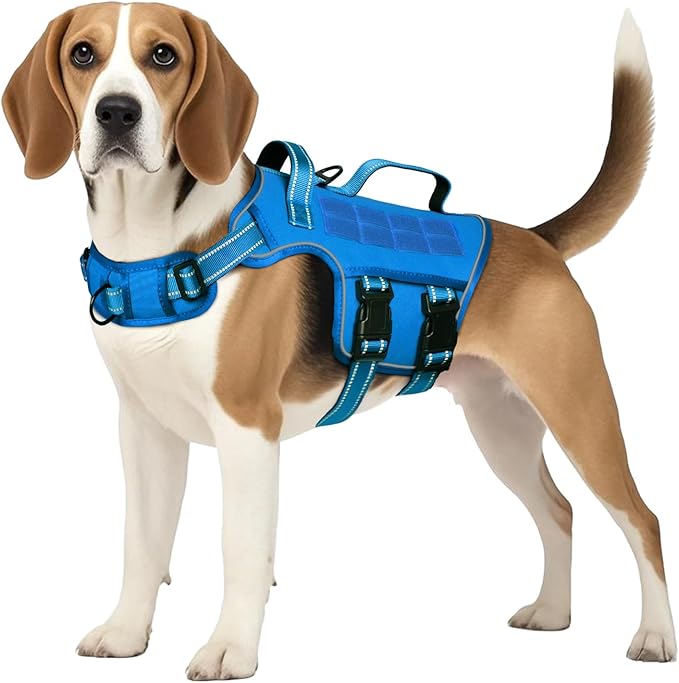 Dog Harness Medium Sized Dog, No Pull Dog Vest with Molle System | Tactical, Easy Control With Handle, Breathable Soft Padded, Adjustable, Reflective, No Choke for Walking, Blue Medium