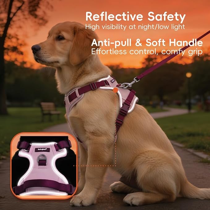 Dog Harness and Leash Set with Collar, No Pull Reflective Pet Vest Harness with Control Handle for Medium Large Dogs Walking and Training