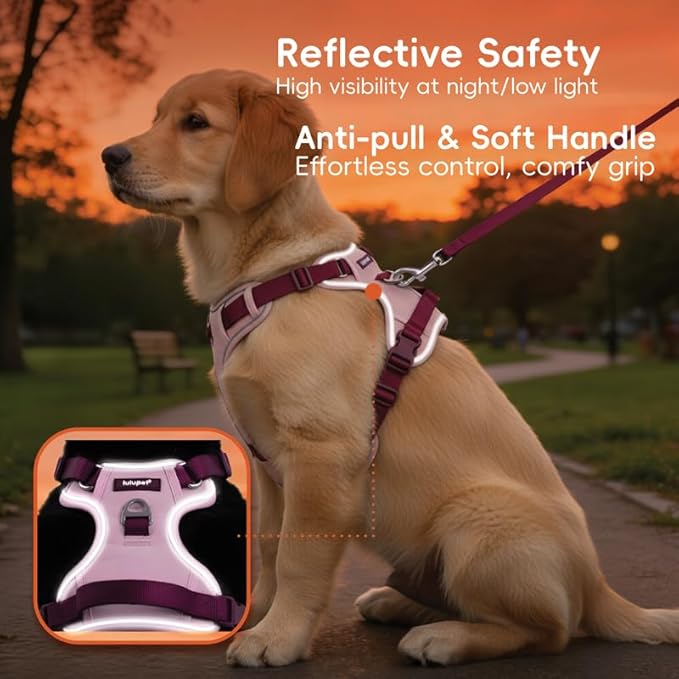 Dog Harness and Leash Set with Collar, No Pull Reflective Pet Vest Harness with Control Handle for Medium Large Dogs Walking and Training