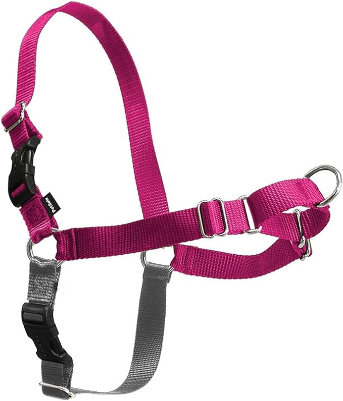 PetSafe Easy Walk Harness, No Pull Dog Harness, Raspberry, Large | Patented Martingale Loop Gives Gradual Shoulder Pressure to Stop Pulling, Front-Chest Leash Clip Prevents Gagging