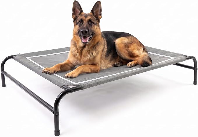 MICOOYO Outdoor Dog Bed, Elevated Dog Bed Raised Dogs Bed with Breathable & Washable Mesh, No-Slip Feet, Easy Clean, Chew Proof, Portable Dog Cot for Indoor & Outdoor Use, 47" x 31" x 9", Grey