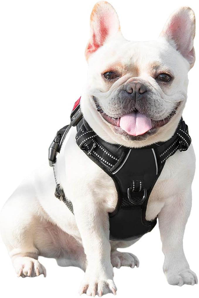 No Pull Dog Harnesses for Small Dogs Reflective Adjustable | Front Clip Vest with Handle 2 Metal Rings 3 Buckles [Easy to Put on & Take Off](XS, Black)