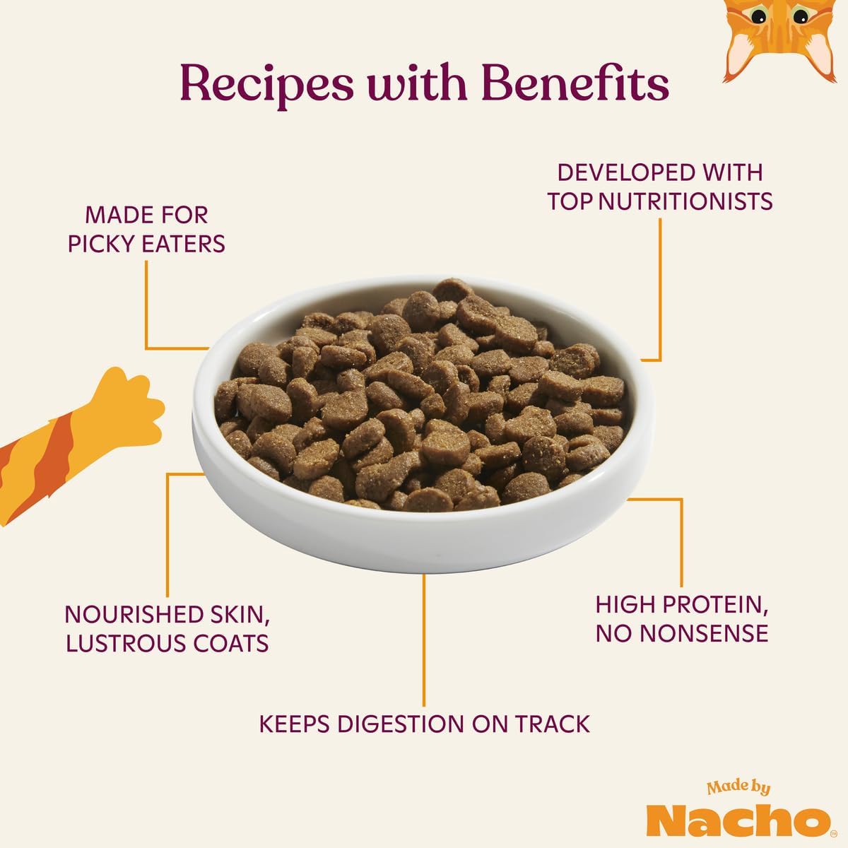 Made by Nacho Dry Cat Kibble 4lb Bag, High Protein and Grain-Friendly Premium Cat Food, Sustainably Caught Salmon and Pumpkin, Infused with Bone Broth for Hydration, Limited Ingredients, Single Bag