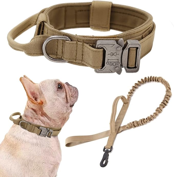 Tactical Dog Collar and Leash Set Adjustable Military Nylon Dog Collar with Control Handle and Heavy Duty Metal Buckle for Large Dogs （Brown S | 1000D Heavy-Duty Nylon Fabric,Quick-Release Metal Buckle,Adjustable Fit,Soft-Padded Webbing,D-Ring,for Trai...