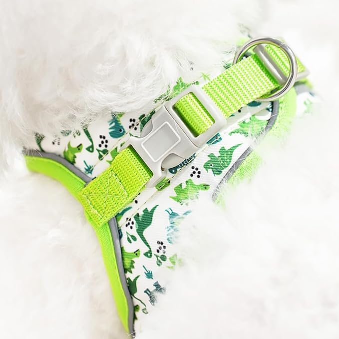 Step in Dog Harness and Leash Set, Flower Adjustable Easy Walk Puppy Harnesses, Soft Mesh Pet Vest Harness Small Size Dog Adjustable No Pull Dog Harness for Small Dogs and Cats(Dinosaur1, XS)