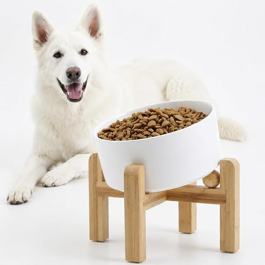 Petygooing White Elevated/Raised 15° Slanted Ceramic Dog Bowl for Large and Medium Breeds, Pet Anti Slip Feeding Bowl,Food Water Dish with Stand for Large and Medium Dogs (60 OZ / 7.6 Cup)