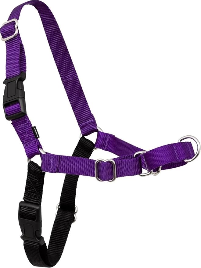 PetSafe Easy Walk Harness, No Pull Dog Harness, Black, Medium/Large | Patented Martingale Loop Gives Gradual Shoulder Pressure to Stop Pulling, Front-Chest Leash Clip Prevents Gagging