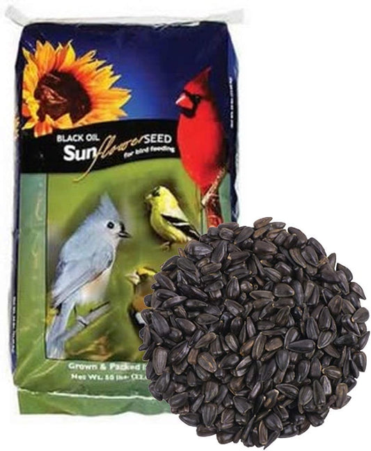 CountryMax Backyard Seeds Black Oil Sunflower for Wild Birds (50 Pounds)
