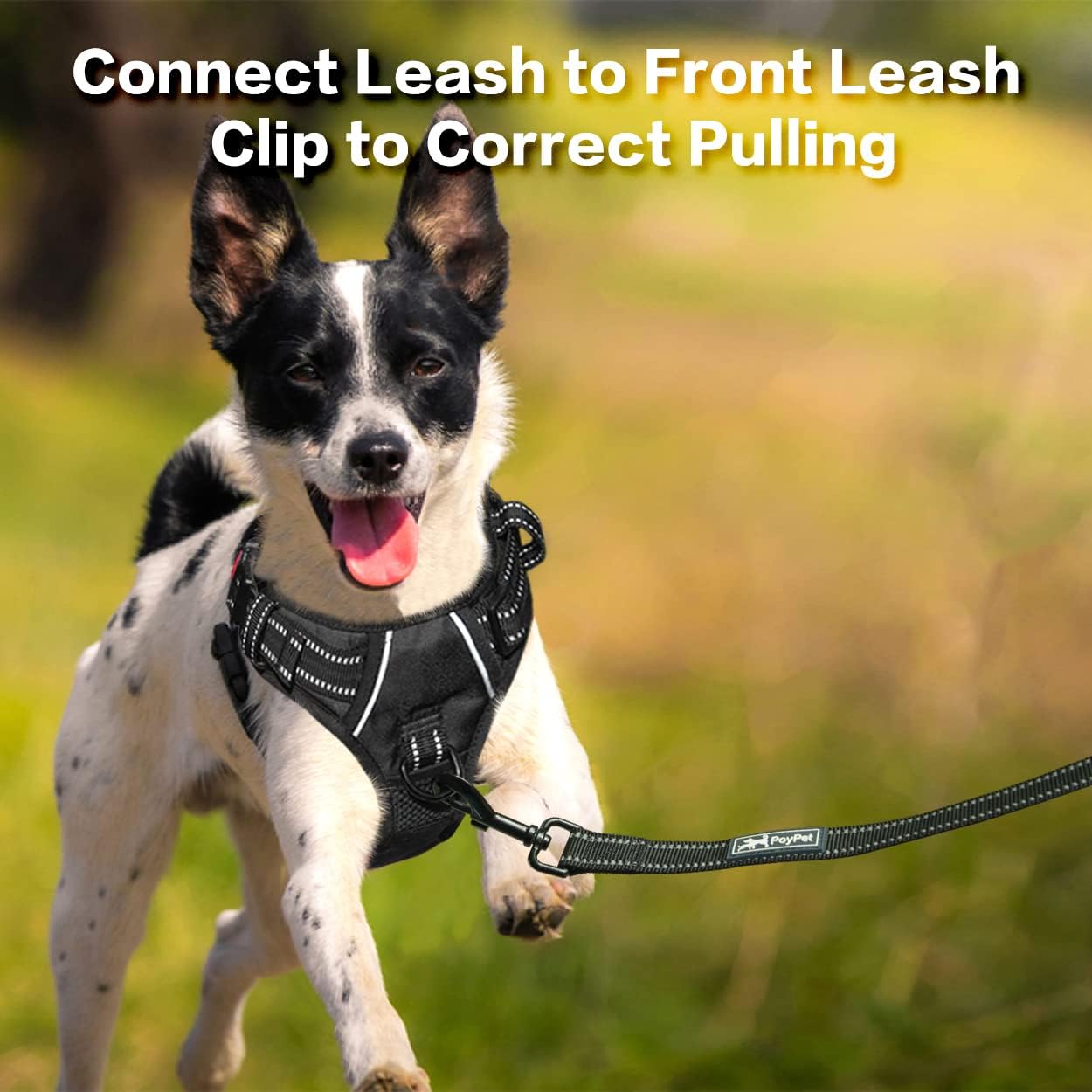 PoyPet No Pull Dog Harness, No Choke Front Clip Reflective Dog Vest with Soft Padded Vertical Handle, 3 Leash Attachments for Small Medium Large Dogs (Black,L)