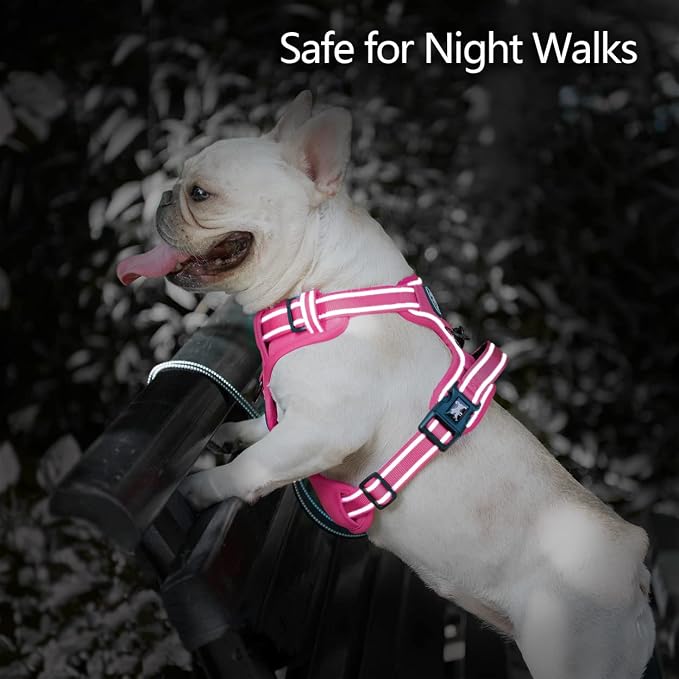PoyPet No Pull Dog Harness, Reflective Vest with 2 Leash Clips & Handle | Lockable Neck Release Buckle, No Choke, Adjustable, Soft Padded, for Walking Training, Pink Matching Trim, Small