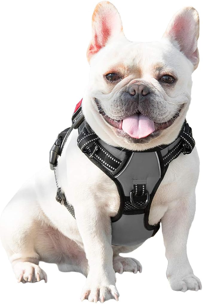 No Pull Dog Harness Medium Reflective Front Clip Vest with Handle,Adjustable 2 Metal Rings 3 Buckles,[Easy to Put on & Take Off](S, Grey) | Adjustable 2 Metal Rings 3 Buckles,[Easy to Put on & Take Off](S, Grey)