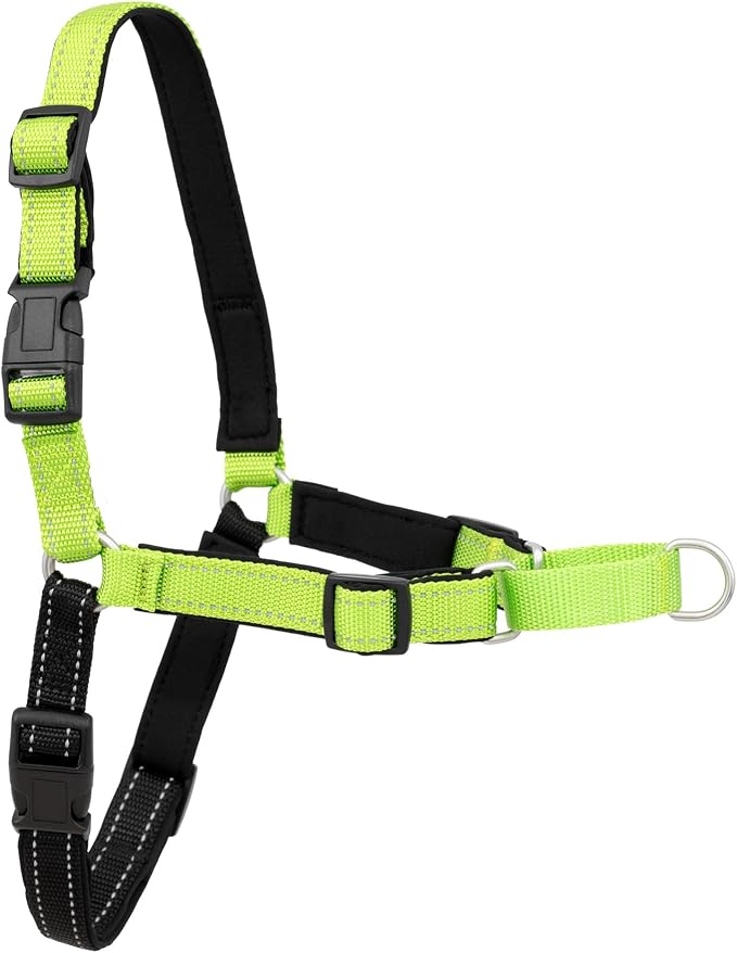 PetSafe Deluxe Easy Walk No Pull Dog Harness, Apple Green, Medium/Large | Padded Neoprene Straps, Reflective Strips for Night Safety, Martingale Loop Curbs Pulling from the Chest, Not the Throat