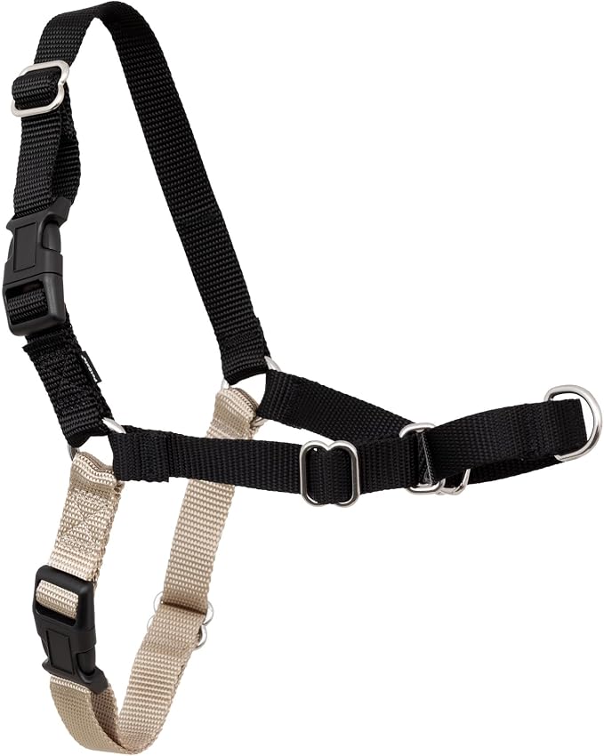PetSafe Easy Walk Harness, No Pull Dog Harness, Black, Small | Patented Martingale Loop Gives Gradual Shoulder Pressure to Stop Pulling, Front-Chest Leash Clip Prevents Gagging