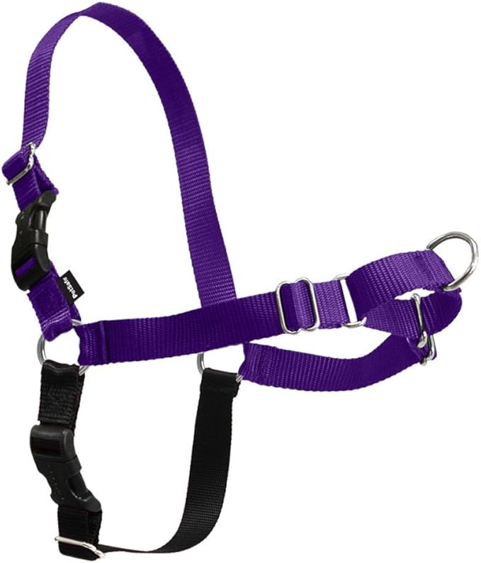PetSafe Easy Walk Harness, No Pull Dog Harness, Deep Purple, Medium | Patented Martingale Loop Gives Gradual Shoulder Pressure to Stop Pulling, Front-Chest Leash Clip Prevents Gagging