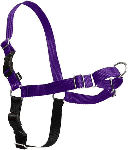 PetSafe Easy Walk Harness, No Pull Dog Harness, Deep Purple, Medium | Patented Martingale Loop Gives Gradual Shoulder Pressure to Stop Pulling, Front-Chest Leash Clip Prevents Gagging