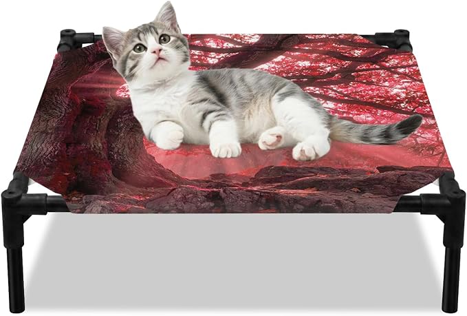 Outdoor Elevated Dog Bed for Small Dogs, Red Trees Breathable Cooling Raised Dog Cot for Indoor/Outdoor, Country Forest Branches Nature Light View Waterproof Elevated Pet Beds, S 20 x 20 in