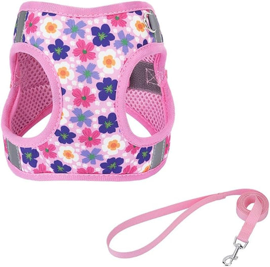 Step in Dog Harness and Leash Set, Flower Adjustable Easy Walk Puppy Harnesses, Soft Mesh No Pull Pet Vest Harness for Small Dogs and Cats(Flower, XXS)