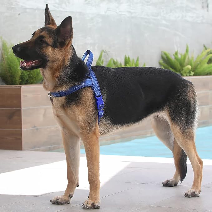 Plutus Pet No Pull Dog Harness for Large Dogs, Breathable Mesh Padded | Adjustable Reflective with Handle, Escape Proof, Quick Fit Pet Vest, Front Clip, for Training and Walking, Royal Blue, XL