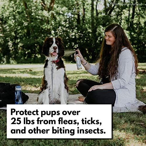 Cedarcide Extra- Strength Tickshield | Deep Woods Cedar Oil Tick & Mosquito Repellent Spray Kills & Repels Ticks, Fleas, Chiggers and Mosquitoes| for People & Pets | Natural Essential Oils | 4 Oz
