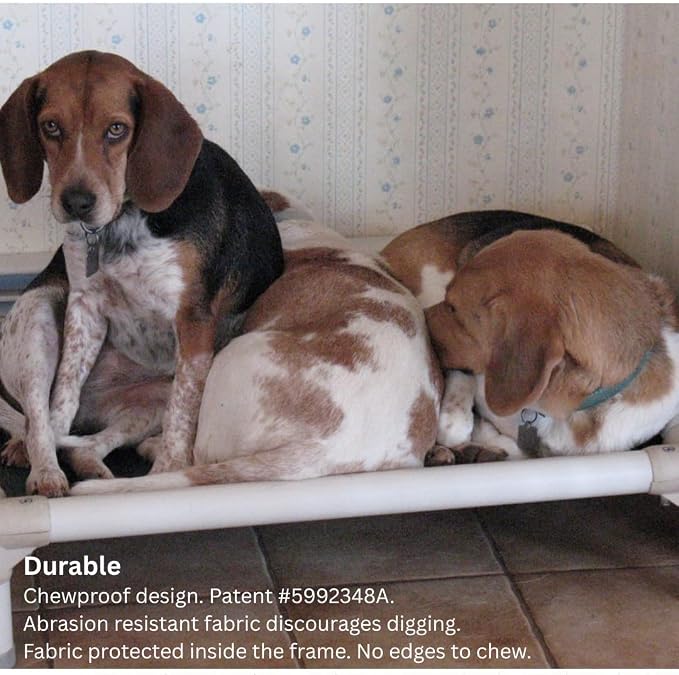 Kuranda Chewproof Elevated Dog Bed – 30" x 20" - Sunsure Textilene - Birch