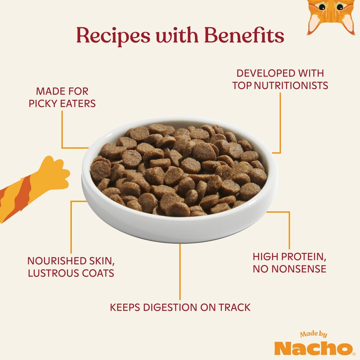 Made by Nacho Dry Cat Kibble 4lb Bag, High Protein and Grain-Friendly Premium Cat Food, Cage-Free Chicken & Pumpkin Recipe, Infused with Bone Broth for Hydration, Limited Ingredients, Single Bag