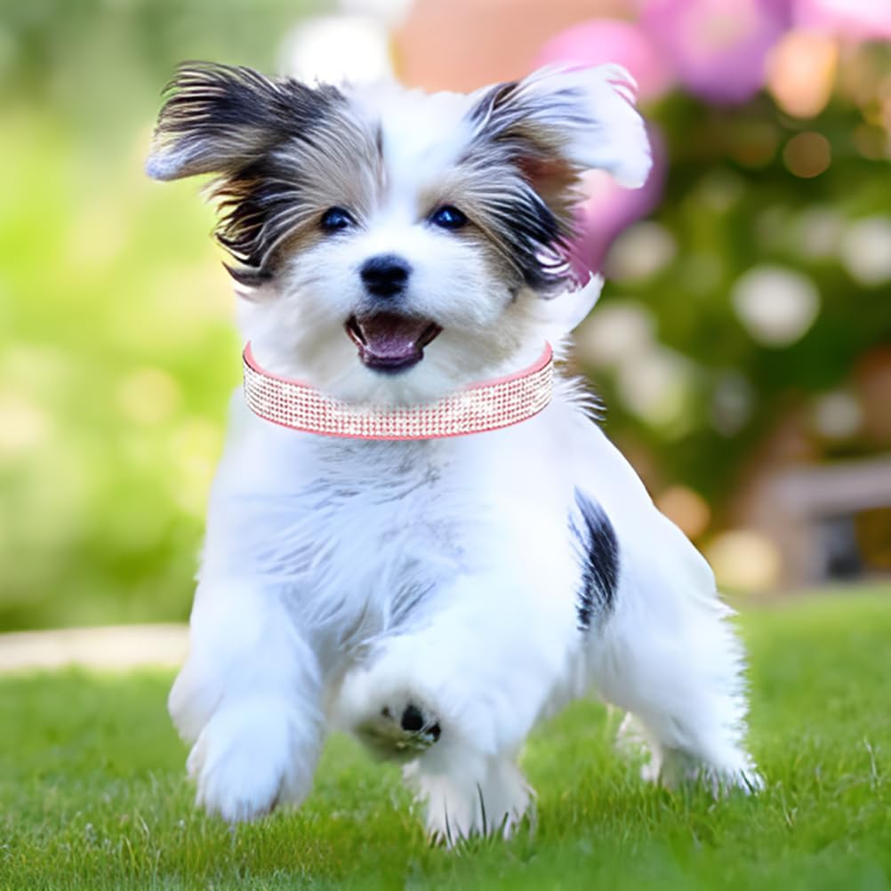 Small Dog Collar with Rhinestone Crystal Diamond Colorful Bling Girl Cat Collars Black S