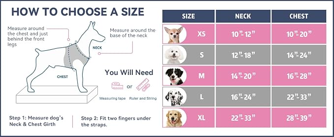 No Pull Dog Harnesses for Small Dogs Reflective Adjustable | Front Clip Vest with Handle 2 Metal Rings 3 Buckles [Easy to Put on & Take Off](XS, Purple)