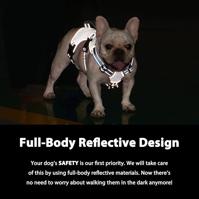 Escape Proof Dog Harness, Dachshund Harness, Reflective Dog Harness with Handle, Durable,Adjustable Vest for Small Medium Large Dogs Walking, Training, and Running Gear (Sea Blue,M)
