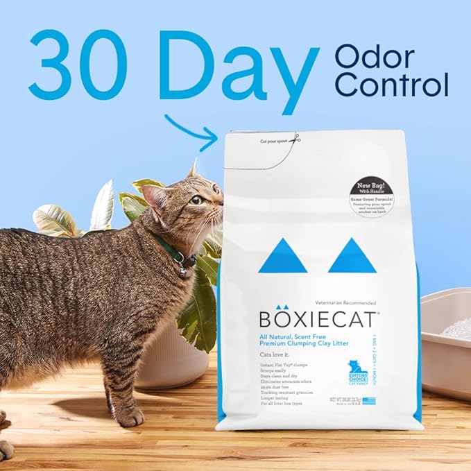 Boxie® Unscented 30 Day Natural Odor Control Cat Litter, 16lb Clumping Clay Kitty Litter (Pack of 2)