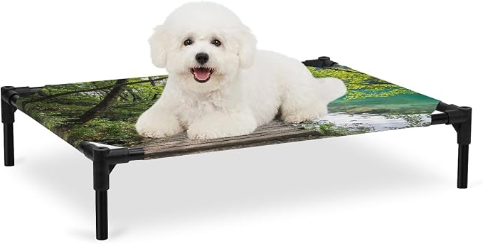 Outdoor Elevated Dog Bed for Medium Dogs, Nature Scenery Breathable Cooling Raised Dog Cot for Indoor/Outdoor, Forest Walkway Lake Trees Spring View Waterproof Elevated Pet Beds, M 24 x 20 in