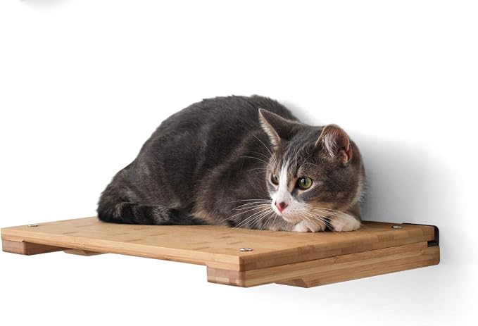 CatastrophiCreations Solid Wood Cat Shelf Handcrafted Wall-Mounted Cat Furniture, Onyx, 18"