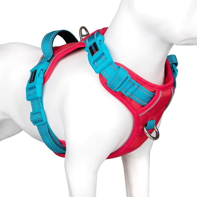 No Pull Dog Harness, Unique Colors Reflective Adjustable Dog Vest | with Soft Training Handle Metal Clips for Small Medium Large Dogs (Red Base & Teal Straps,XL)