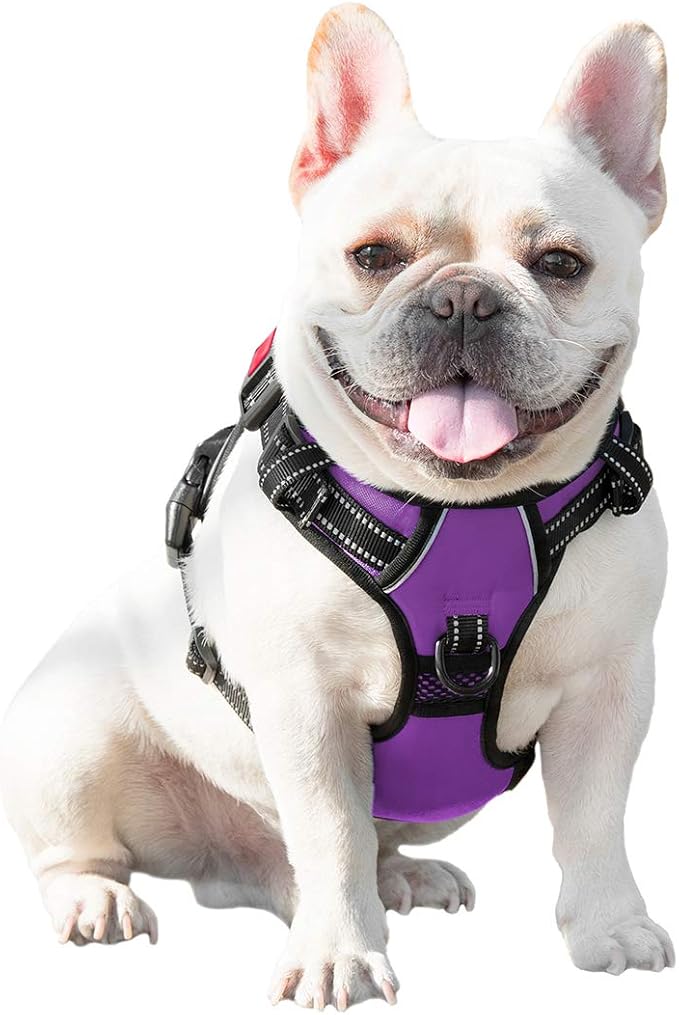No Pull Dog Harnesses for Small Dogs Reflective Adjustable | Front Clip Vest with Handle 2 Metal Rings 3 Buckles [Easy to Put on & Take Off](XS, Purple)
